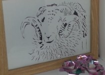 20130426_1250131