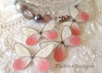Blush3