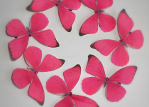 Bright-Pink-Swirl-small