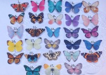 June-2013-pick-and-mix-selection