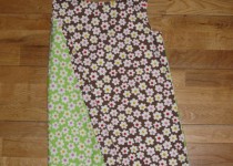 IMG_1537-480x640