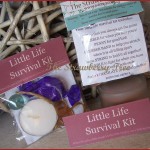 Little_Life