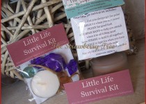 Little_Life