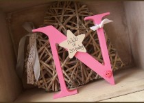 N_Cornflower_Pink