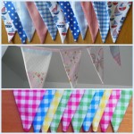Plain-bunting