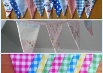 Plain-bunting
