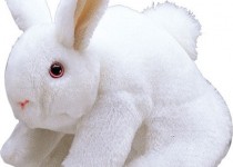 bunnypuppet_W