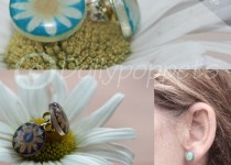 daisy-general-web-copy-web