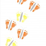Butterfly-Footprint-Multi-OY