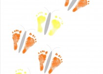 Butterfly-Footprint-Multi-OY