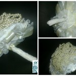 pearl-bouquet-collage