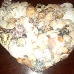 shell-heart-002