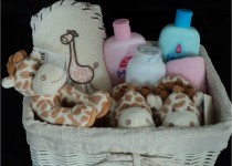 giraffe-bath-time