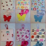 hairclip-holders