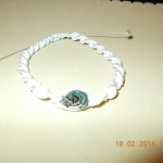DSCN0029