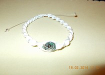 DSCN0029
