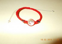 DSCN0030