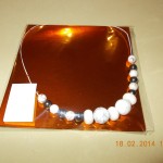 DSCN0037