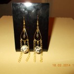 DSCN0041