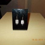 DSCN0043