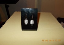 DSCN0043
