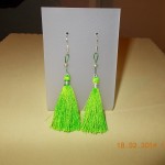 DSCN0044