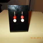 DSCN0046