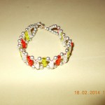 DSCN0047