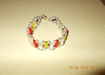 DSCN0047