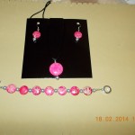 DSCN0048