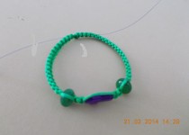 DSCN0088