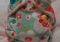 LN-Pocket-Nappy-Bird-Front001