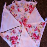 cream-bunting