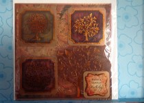 photo-16