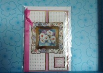 photo5