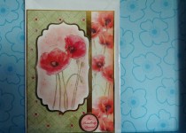 photo7