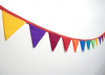 MiniBunting2