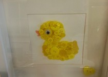 duck-pic