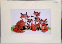 fox