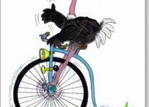 ostrich