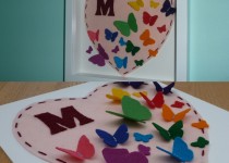 Butterfly-Picture
