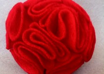 IMG_0010_2