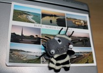IMG_3428-800x600