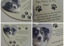 Paw-Prints-Heart-Photo-Plaque