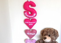 Savannah-Teddy