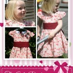 Strawberry-shortcake-TGP