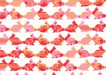 cr6161_coral