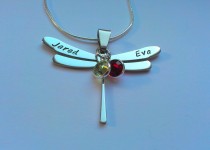 dragonfly-jared