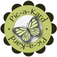 pic-a-kard_logo