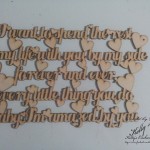 20140619_135155.11
